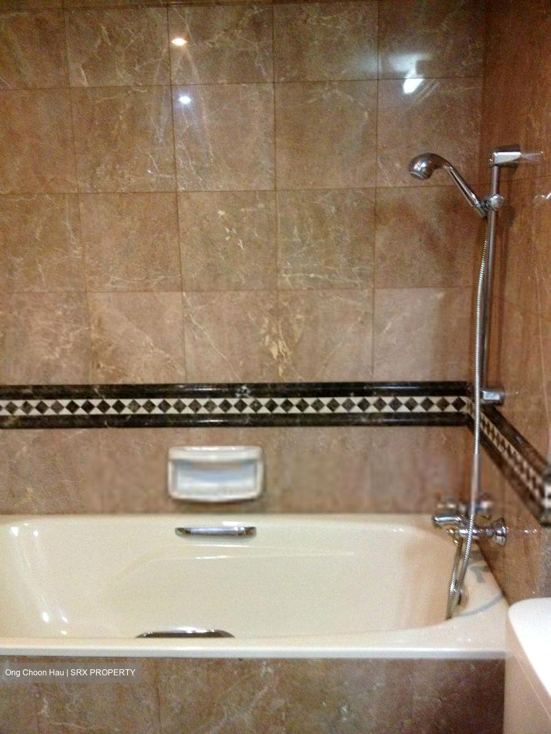 Dover Parkview (D5), Condominium #416989231